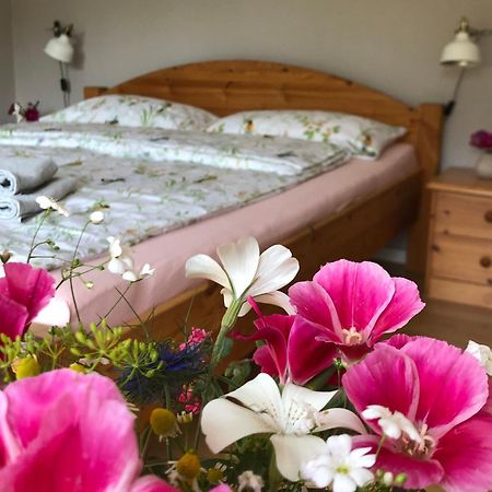 בלקדה Ferienwohnung Elbsegler מראה חיצוני תמונה