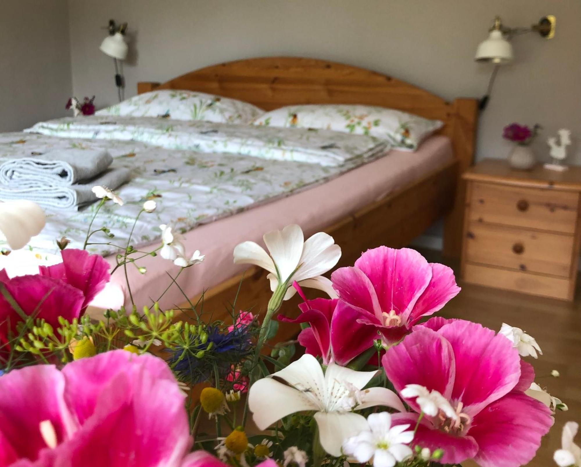 בלקדה Ferienwohnung Elbsegler מראה חיצוני תמונה